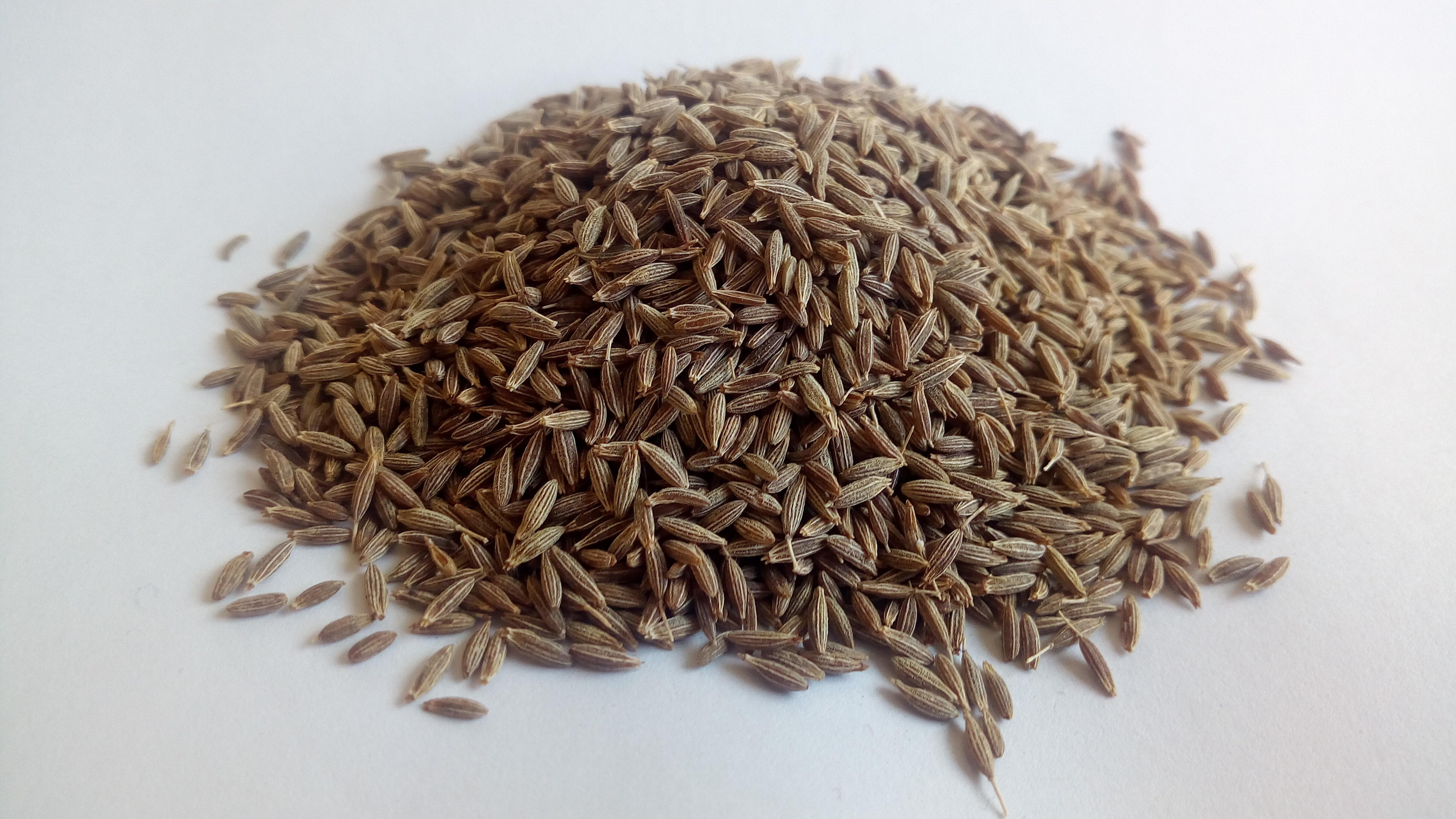 Sortex Cleaned Cumin Seeds